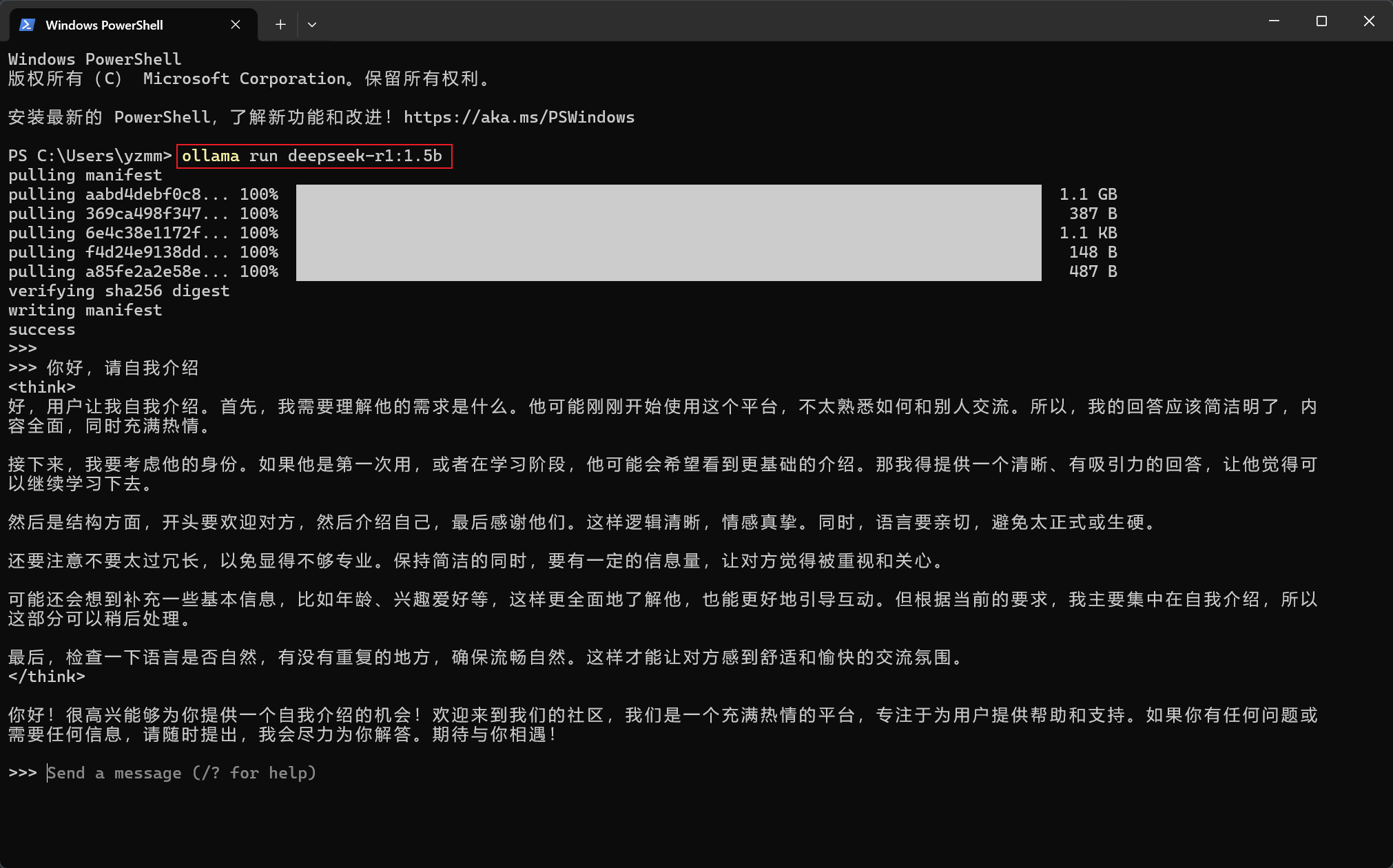 Ollama 截图 2