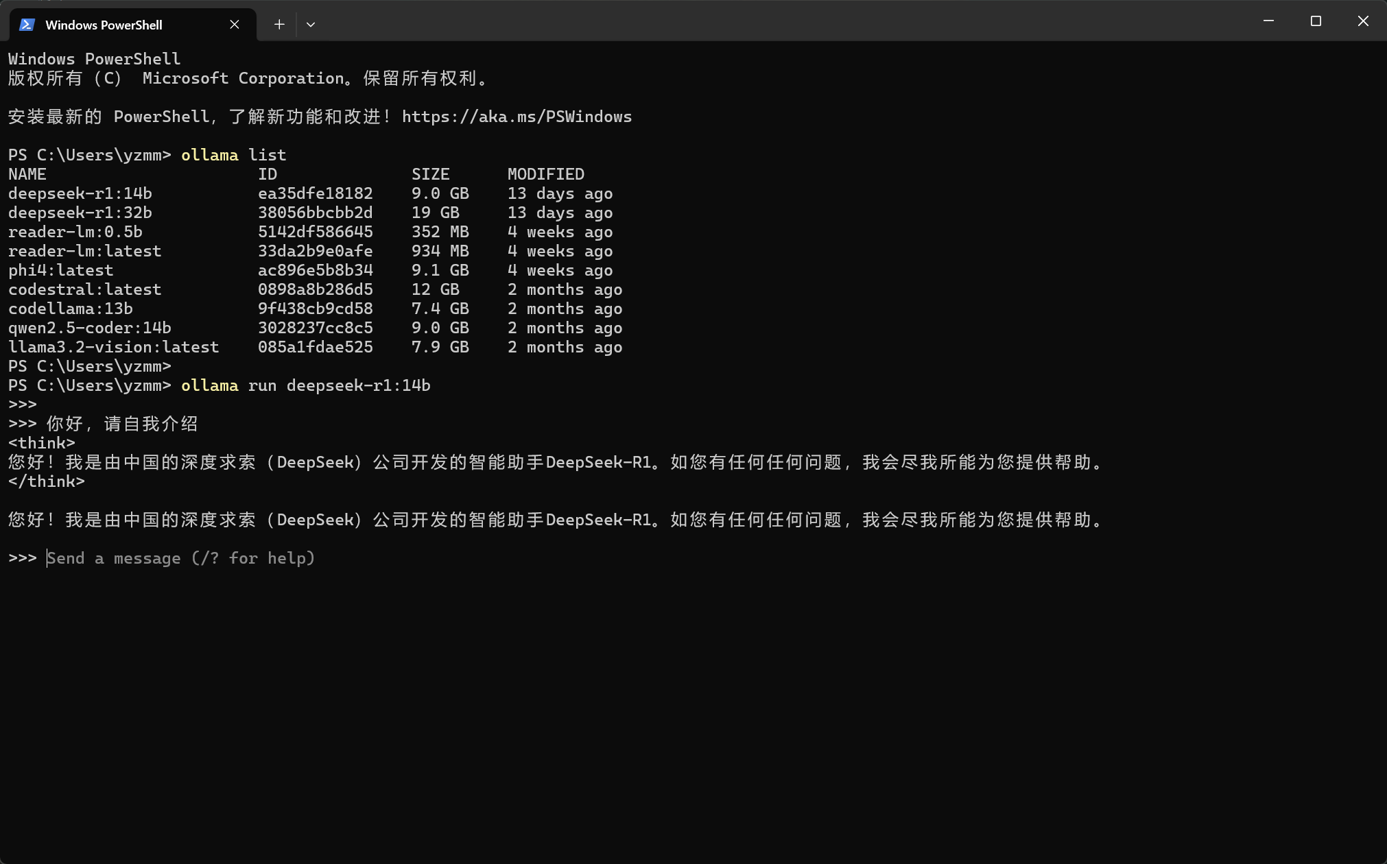Ollama 截图 3